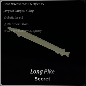 Long Pike fisch.